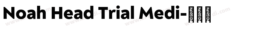 Noah Head Trial Medi字体转换
